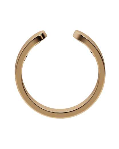 AuraRing™ | Magnetische therapie ring