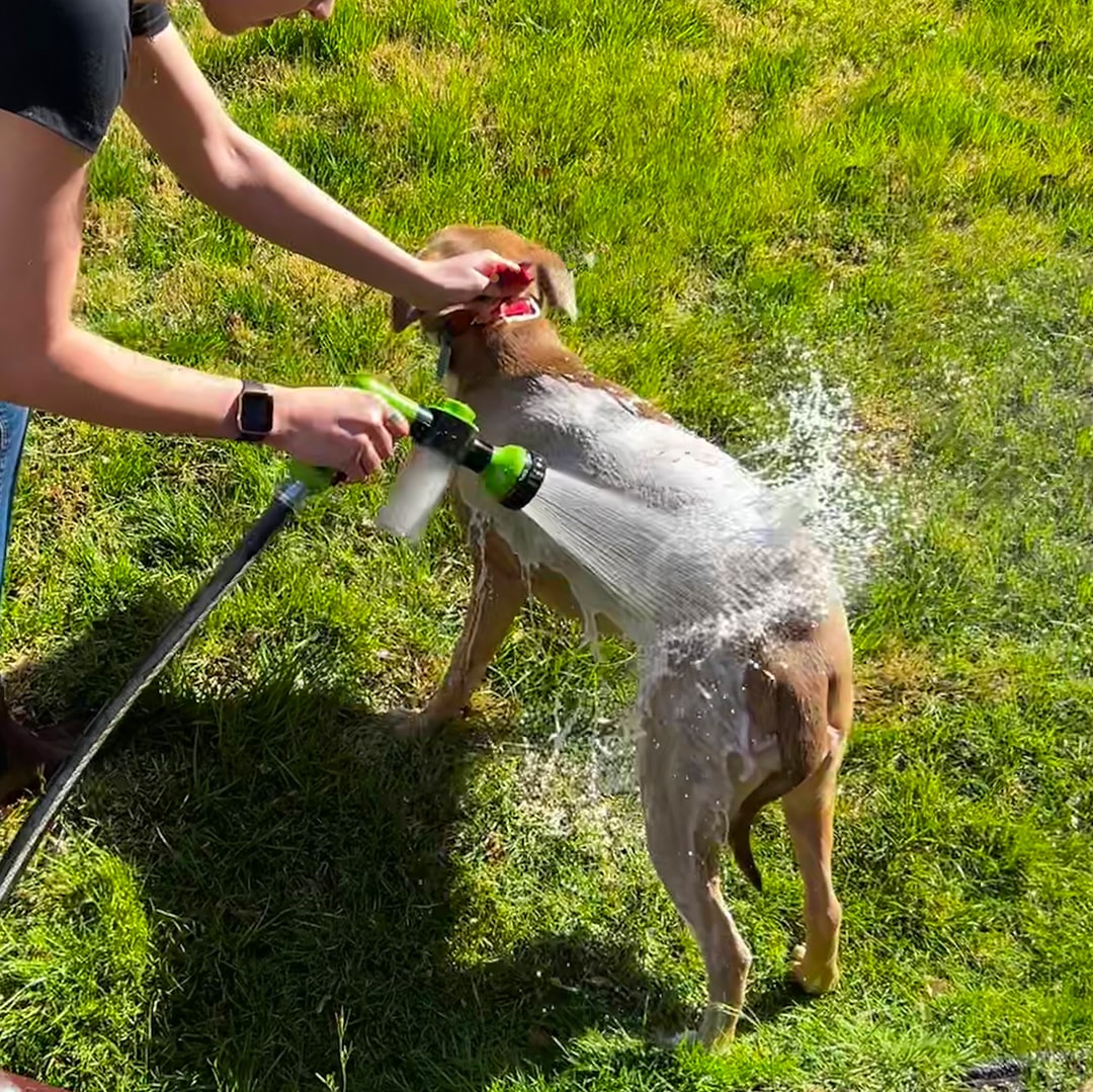 CleanPup™ | Geniet van je schone pup als nooit tevoren!