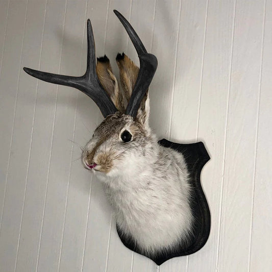 Kunstmatige jackalope taxidermie decoratie