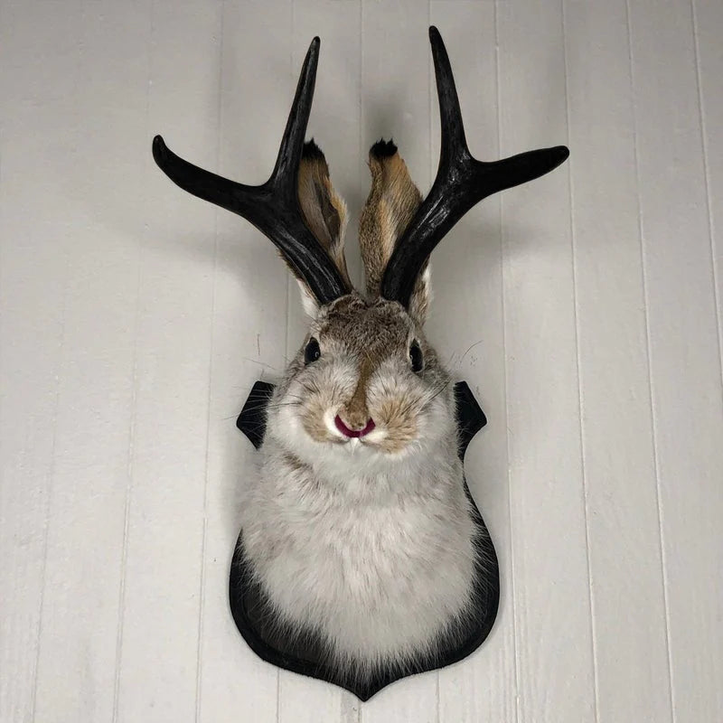 Kunstmatige jackalope taxidermie decoratie