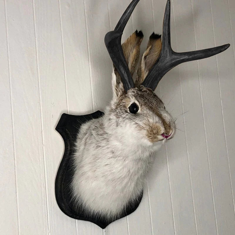 Kunstmatige jackalope taxidermie decoratie